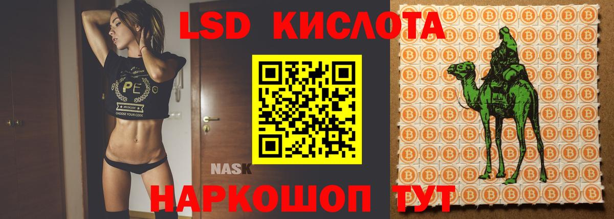 LSD-25 экстази кислота  LSD-25 экстази кислота  Вход с VPN  Заводоуковск 