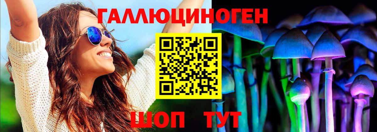 Псилоцибиновые грибы Psilocybe  Вход с VPN  Заводоуковск 
